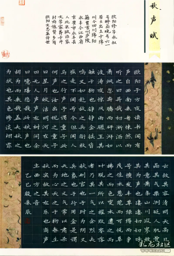 殷朱辰.webp 殷朱辰.webp