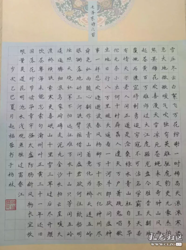 赵福蓉.webp 赵福蓉.webp
