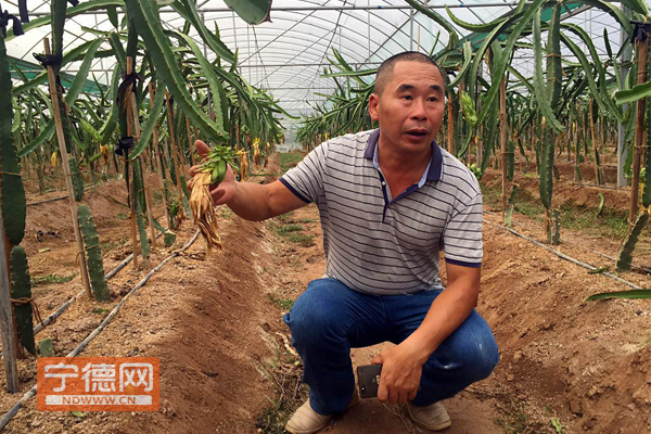 福建宁化石壁镇：穿上生态旅游的“新衣裳”