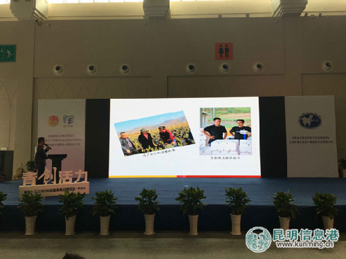 云南省“春城创业荟”初赛启幕 100个项目路演亮相