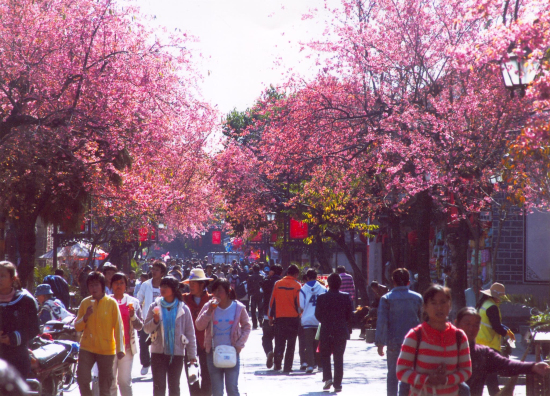 大理,洱海,民族 大理,洱海,民族