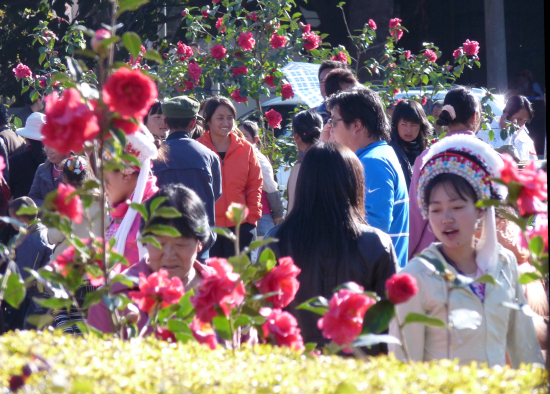 大理,洱海,民族 大理,洱海,民族