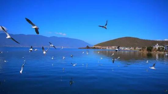 昆明，国际中心城市,GDP