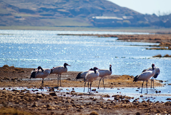 昭通,脱贫摘帽,小康