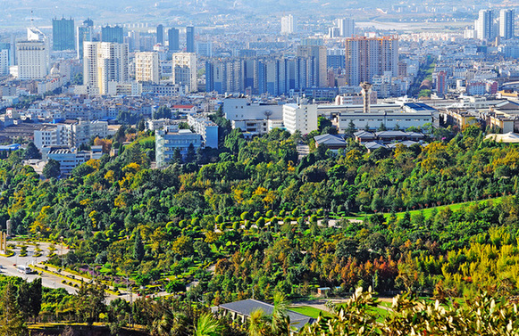 玉溪,扶贫,国际大通道 玉溪,扶贫,国际大通道