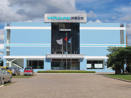 玉溪,扶贫,国际大通道