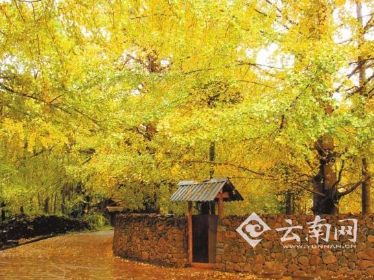 保山,五网建设,举措 保山,五网建设,举措