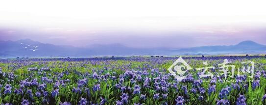 保山,五网建设,举措 保山,五网建设,举措