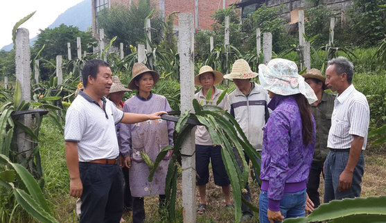 红河,发展,成绩