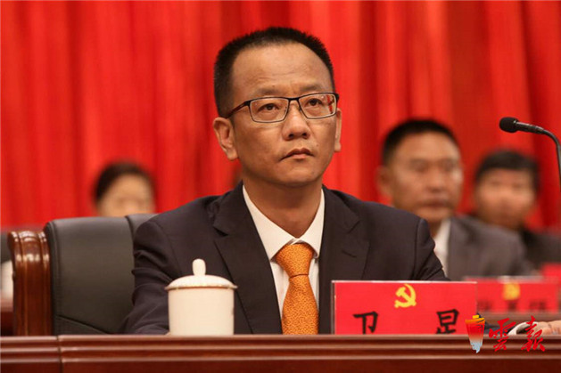 普洱,茶,生态 普洱,茶,生态