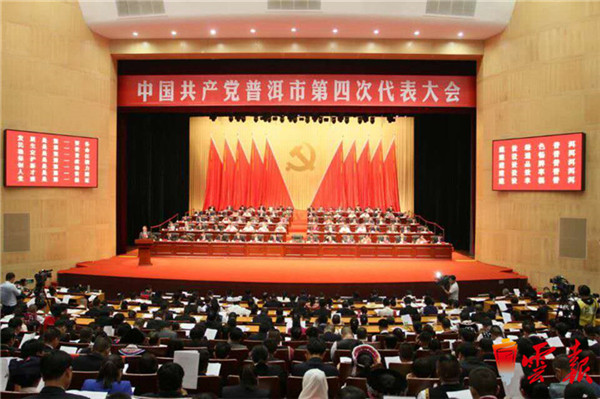 普洱,茶,生态 普洱,茶,生态