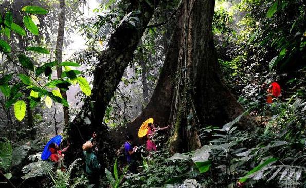 西双版纳,道路,沿边