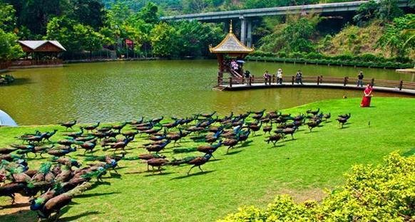 西双版纳,道路,沿边