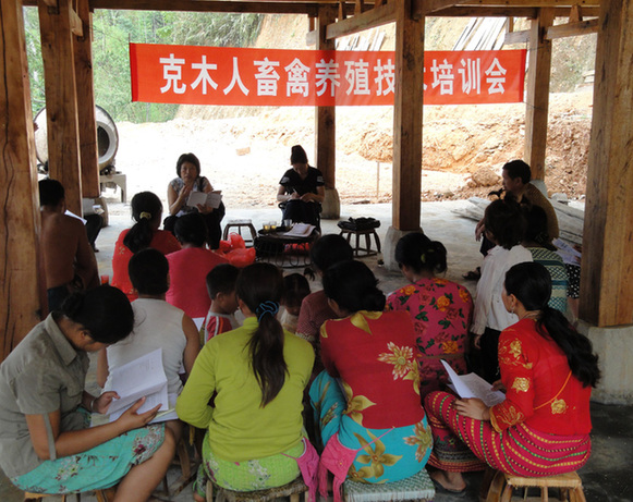 西双版纳,道路,沿边