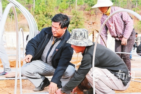 党代会,代表,人民