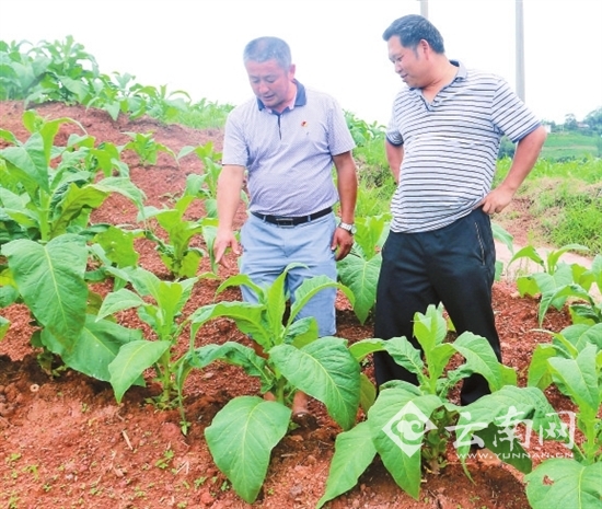 党代会,代表,人民