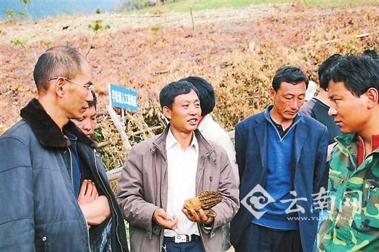 党代会,代表,人民