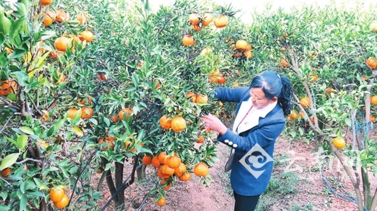 党代会,代表,人民