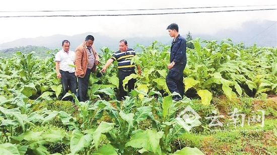 党代会,代表,人民