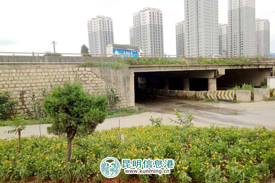 栽种各类花草树苗