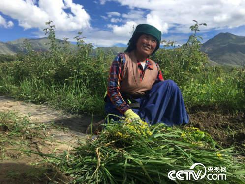 西藏易地扶贫搬迁“搬”出幸福感