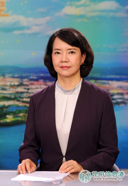 盘龙区委副书记、区长梁崑