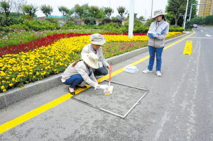 精心打造美丽盘龙 5项改革创新驱动城市发展