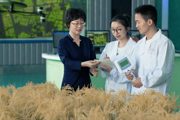 未来农业预测师朱艳:打一场食物短缺“阻击战” 最美人物 未来农业预测师朱艳:打一场食物短缺“阻击战” 最美人物