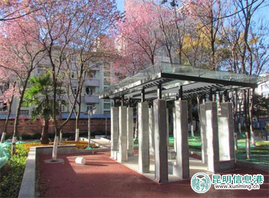 盘龙区绿化建设亮点不断 家门口小游园旧貌换新颜