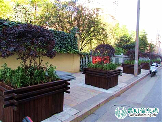 盘龙区“五路”绿化提升整治 沿途景观四季有花