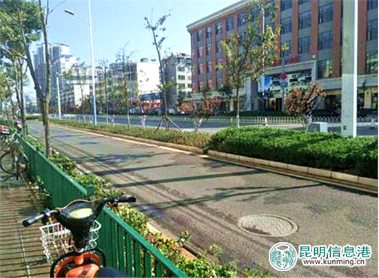 盘龙区“五路”绿化提升整治 沿途景观四季有花 盘龙区“五路”绿化提升整治 沿途景观四季有花