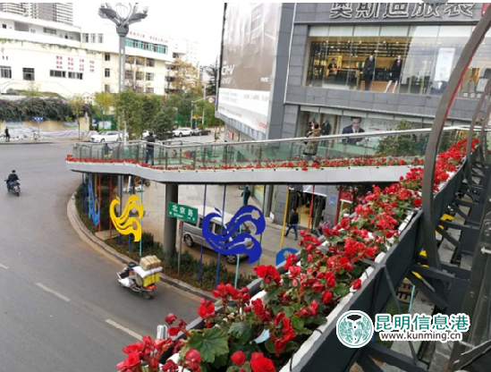 打造昆明“春城花都” 盘龙区开展“五个十”绿化提升整治