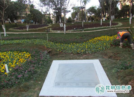 盘龙区绿化建设亮点不断 家门口小游园旧貌换新颜