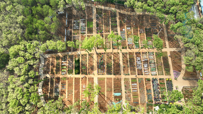 独具特色的农耕园