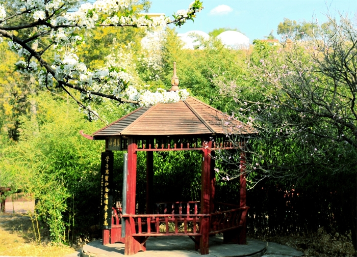 DSC_7321_副本 DSC_7321_副本