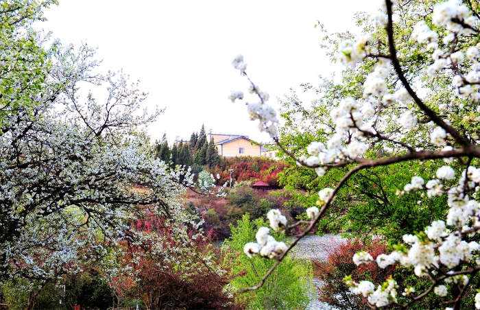 DSC_7355_副本 DSC_7355_副本