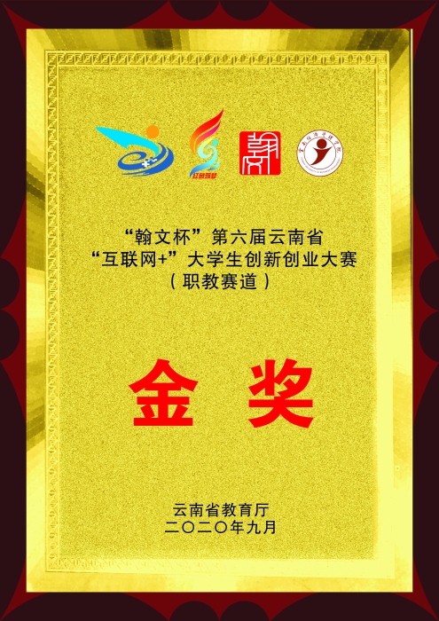 互联网+双创大赛金奖