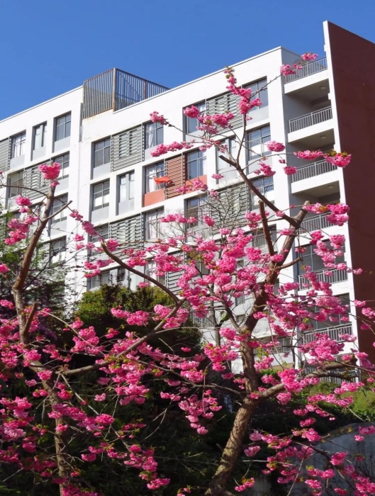 图片 46_副本 图片 46_副本