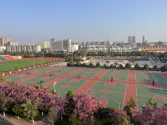 436d0c617ee558fc595381861b7de10 436d0c617ee558fc595381861b7de10