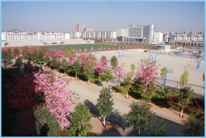 校园环境 校园环境