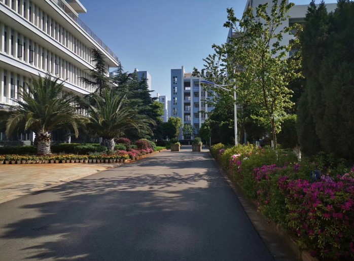 校园一角 校园一角