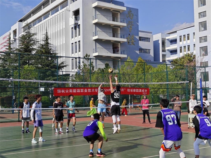 排球比赛 排球比赛