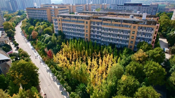 微信图片_20250519114625