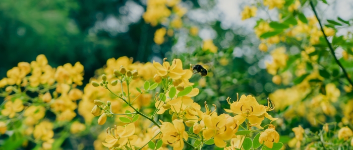 微信图片_20250519114450