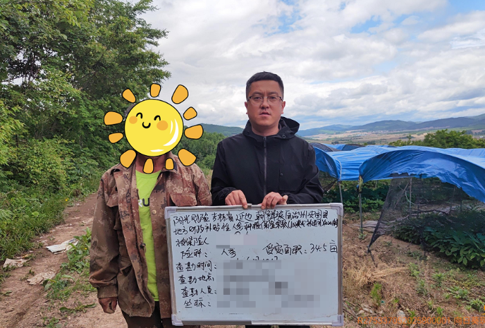 阳光财险在受灾参田进行理赔查勘1