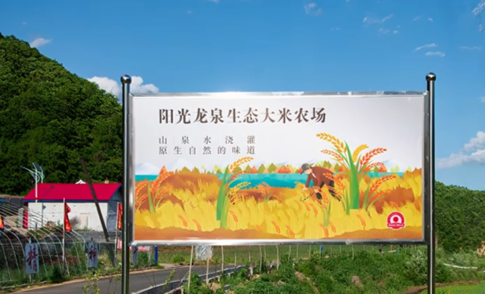 阳光财险在受灾参田进行理赔查勘1