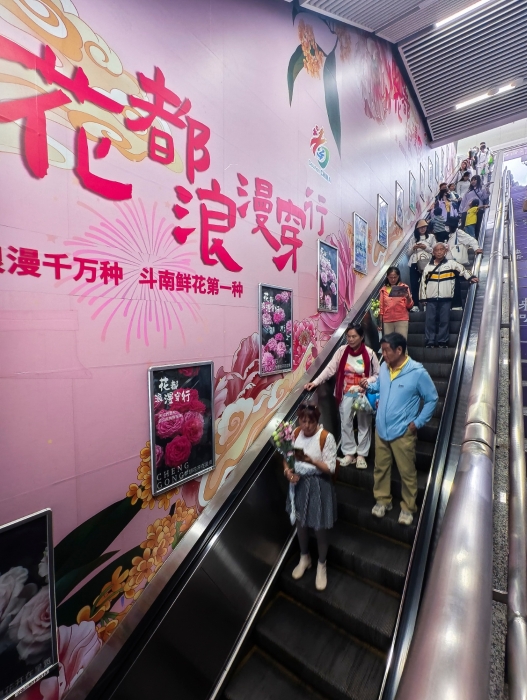 张殿楷 13529141244 花都浪漫穿行 20250826 金桂街站