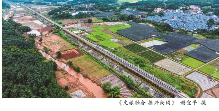 摄影周摄影展展架4-07