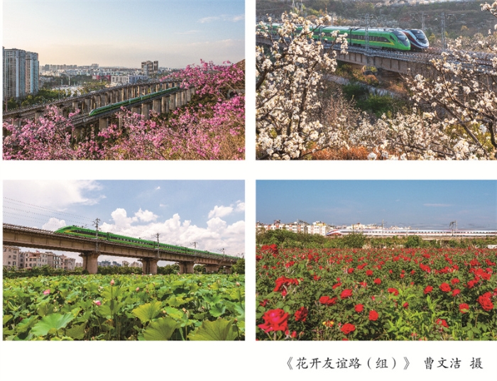 摄影周摄影展展架4-08