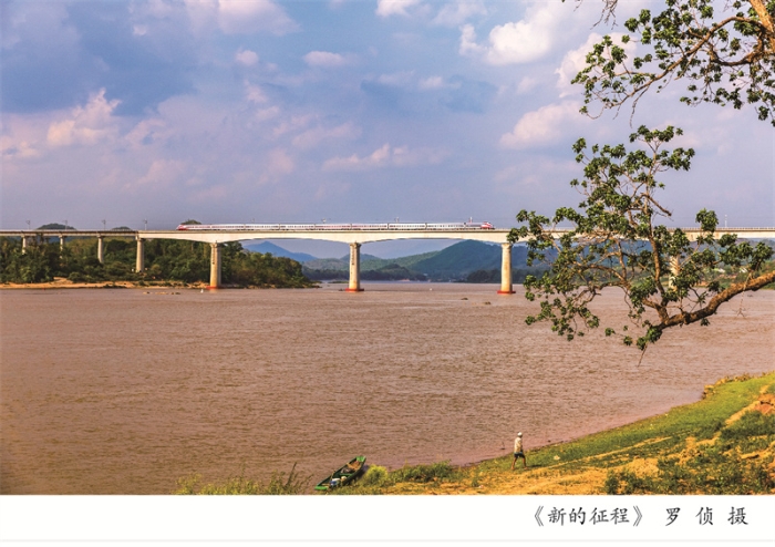 摄影周摄影展展架5-06